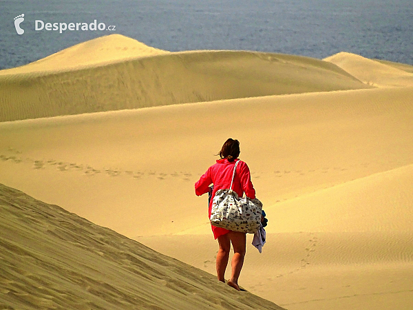 Písečné duny v Maspalomas (Gran Canaria - Španělsko)