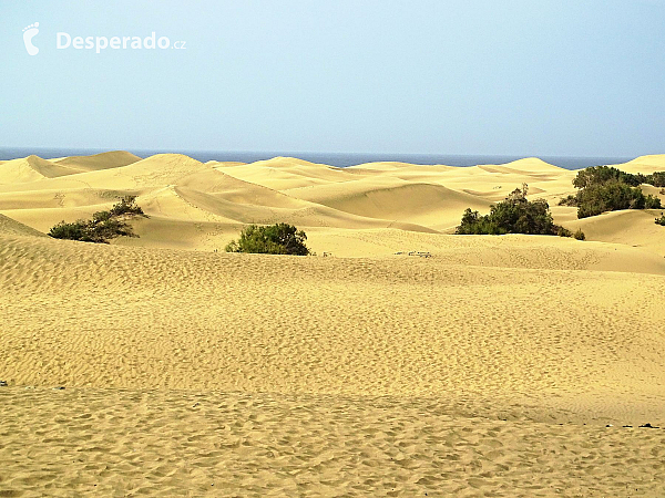 Maspalomas na ostrově Gran Canaria (Kanárské ostrovy - Španělsko)