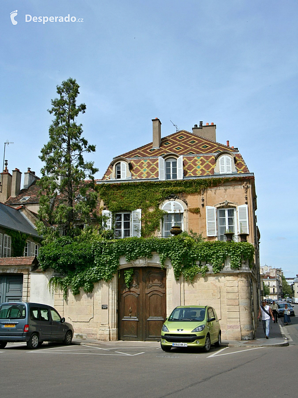 Dijon (Burgundsko-Franche-Comté - Francie)