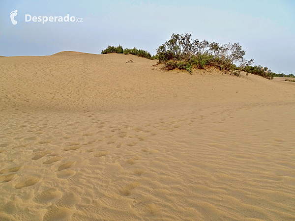 Maspalomas (Gran Canaria - Kanárské ostrovy - Španělsko)