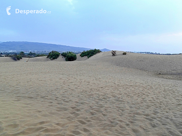 Maspalomas (Gran Canaria - Kanárské ostrovy - Španělsko)