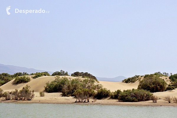 Maspalomas (Gran Canaria - Kanárské ostrovy - Španělsko)