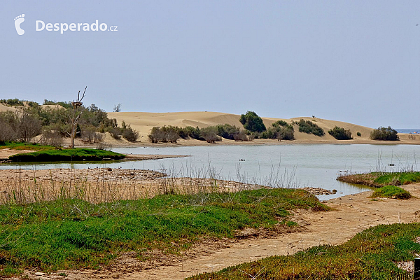 Maspalomas (Gran Canaria - Kanárské ostrovy - Španělsko)