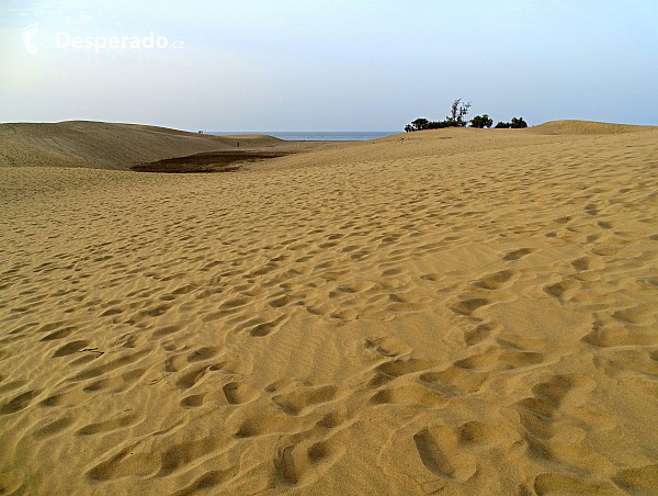 Maspalomas (Gran Canaria - Kanárské ostrovy - Španělsko)