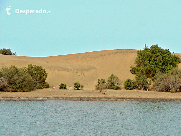 Maspalomas (Gran Canaria - Kanárské ostrovy - Španělsko)