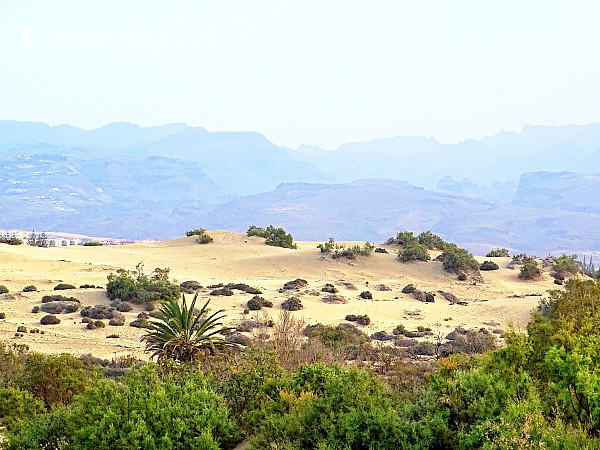 Maspalomas (Gran Canaria - Kanárské ostrovy - Španělsko)