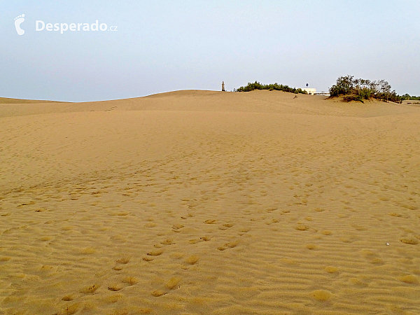 Maspalomas (Gran Canaria - Kanárské ostrovy - Španělsko)