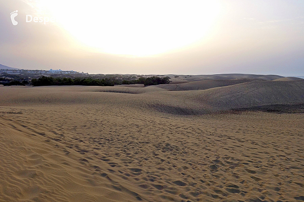 Maspalomas (Gran Canaria - Kanárské ostrovy - Španělsko)