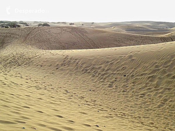 Maspalomas (Gran Canaria - Kanárské ostrovy - Španělsko)