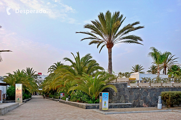 Maspalomas (Gran Canaria - Kanárské ostrovy - Španělsko)