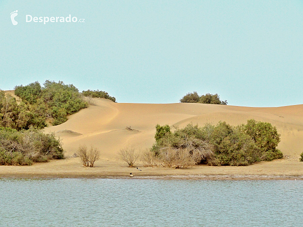 Maspalomas (Gran Canaria - Kanárské ostrovy - Španělsko)