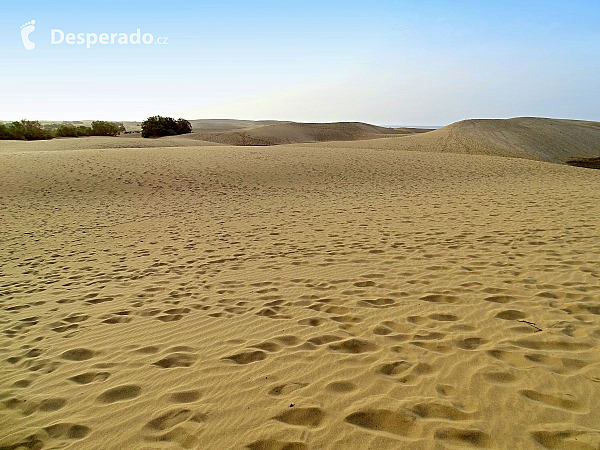 Maspalomas (Gran Canaria - Kanárské ostrovy - Španělsko)