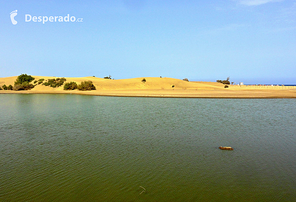 Maspalomas (Gran Canaria - Kanárské ostrovy - Španělsko)