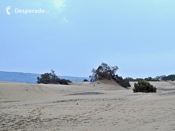 Maspalomas (Gran Canaria - Kanárské ostrovy - Španělsko)