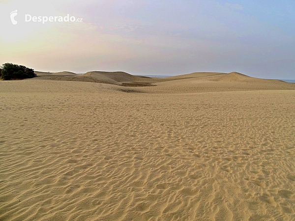 Maspalomas (Gran Canaria - Kanárské ostrovy - Španělsko)