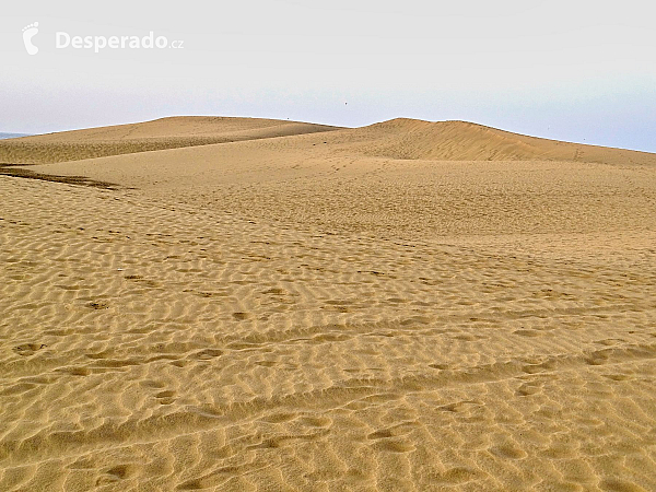 Maspalomas (Gran Canaria - Kanárské ostrovy - Španělsko)