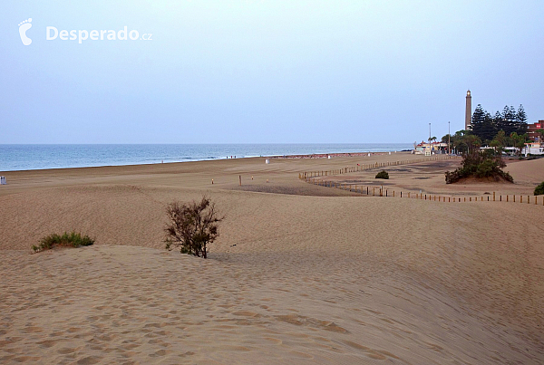 Maspalomas (Gran Canaria - Kanárské ostrovy - Španělsko)