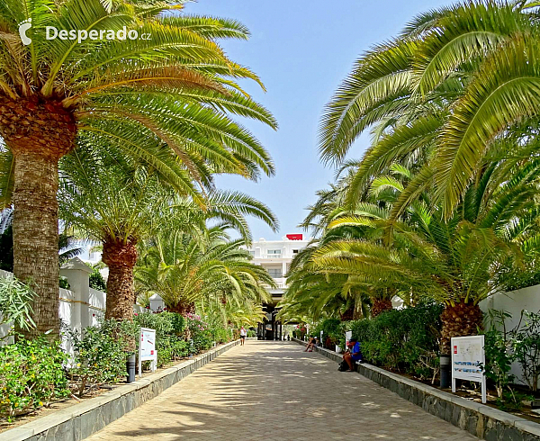 Maspalomas (Gran Canaria - Kanárské ostrovy - Španělsko)