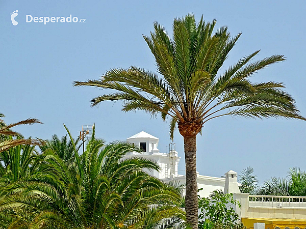 Maspalomas (Gran Canaria - Kanárské ostrovy - Španělsko)