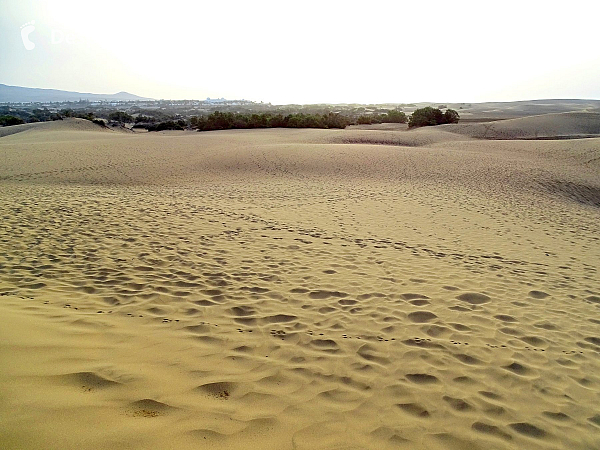 Maspalomas (Gran Canaria - Kanárské ostrovy - Španělsko)