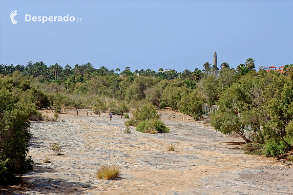 Maspalomas (Gran Canaria - Kanárské ostrovy - Španělsko)