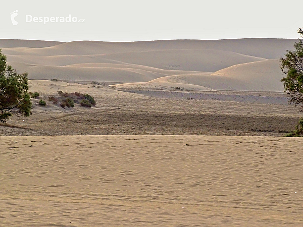 Maspalomas (Gran Canaria - Kanárské ostrovy - Španělsko)