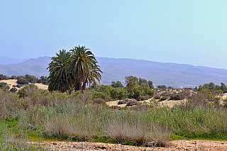 Maspalomas (Gran Canaria - Kanárské ostrovy - Španělsko)