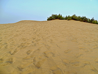 Maspalomas (Gran Canaria - Kanárské ostrovy - Španělsko)