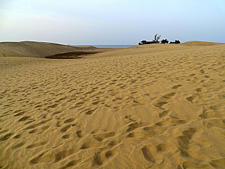Maspalomas (Gran Canaria - Kanárské ostrovy - Španělsko)