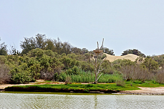 Maspalomas (Gran Canaria - Kanárské ostrovy - Španělsko)