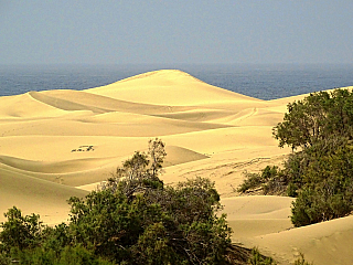 Maspalomas (Gran Canaria - Kanárské ostrovy - Španělsko)