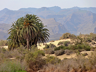 Maspalomas (Gran Canaria - Kanárské ostrovy - Španělsko)