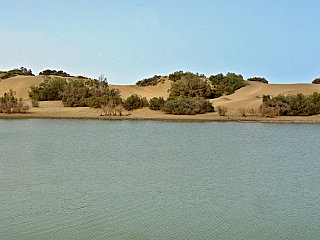 Maspalomas (Gran Canaria - Kanárské ostrovy - Španělsko)