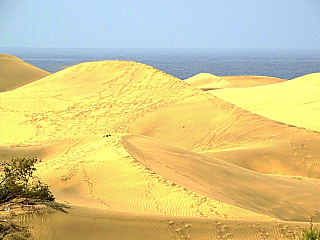 Maspalomas (Gran Canaria - Kanárské ostrovy - Španělsko)