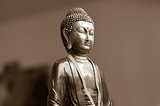 Budha