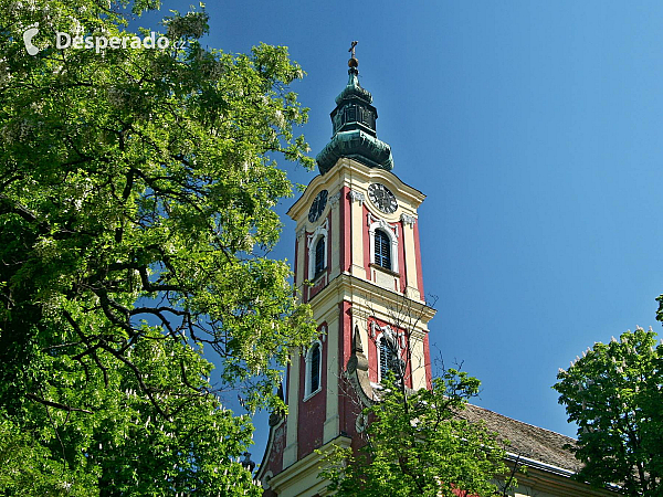 Szentendre (Maďarsko)