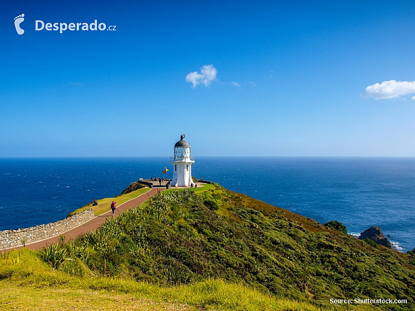 Cape Reinga (Nový Zéland)