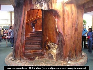 Cape Reinga (Nový Zéland)