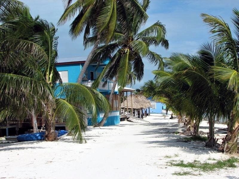 Pláž s palmami v Belize