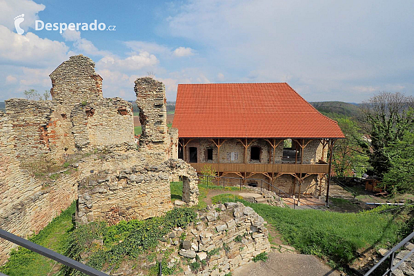 Hrad Košumberk (Česká republika)