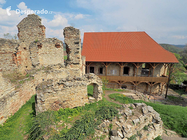 Hrad Košumberk (Česká republika)