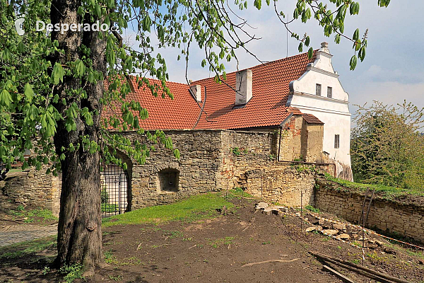 Hrad Košumberk (Česká republika)