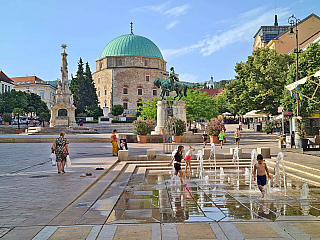 Pécs je místem, kde kultura opravdu jen kvete