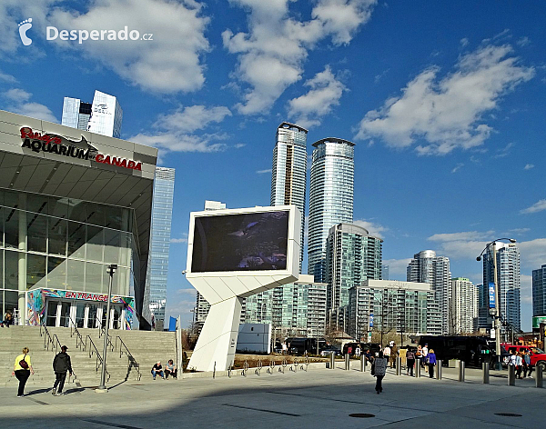 Toronto (Ontario - Kanada)