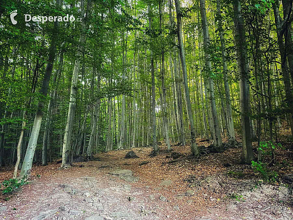 Cesta smerom k Starohutskému vodopádu (Slovensko)