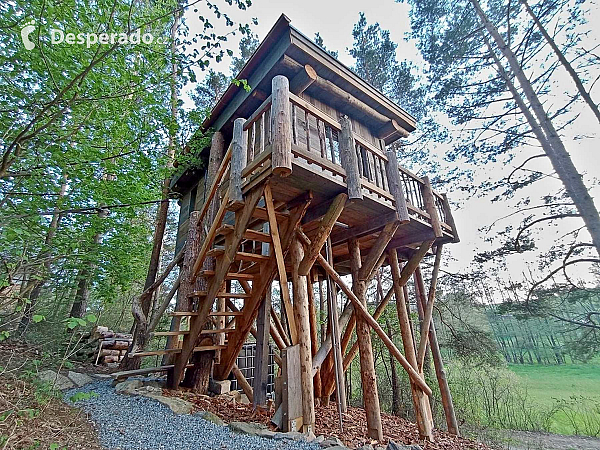 Tree House Sokolí