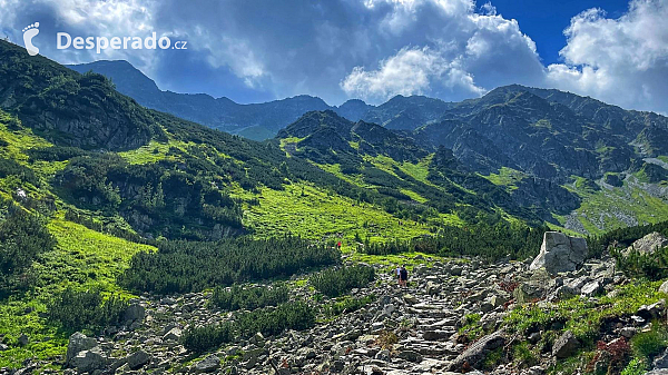 Na trase vás čakajú nádherné výhľady na okolité kopce a vrchy Západných Tatier (Slovensko)