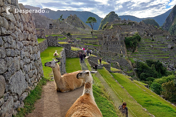 Salkantay trek na Machu Picchu (Peru)