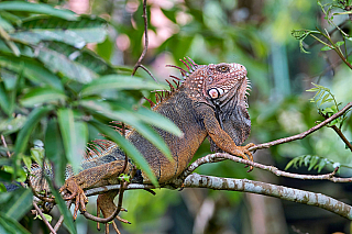 Kostarika - 5 míst která musíte navštívit