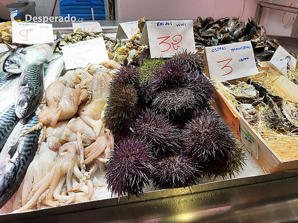 Tržnice Mercado Central v Alicante (Autonomní společenství Valencie – Španělsko)